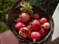 /album/galerie-photos/recolte-du-jardin-jpg/